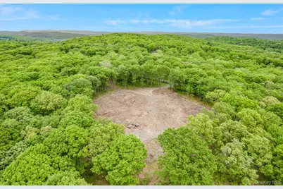 101 N Tower Hill Road, Millbrook, NY 12545 - Photo 17