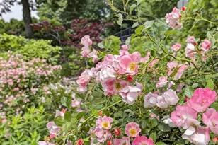 59 Fairview Ave, Tarrytown, NY 10591 - Photo 43