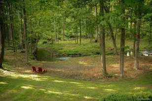 1231 Route 308, Rhinebeck, NY 12572 - Photo 21