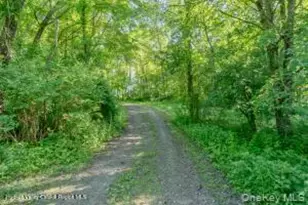 884 Camby Rd, Millbrook, NY 12545 - Photo 29