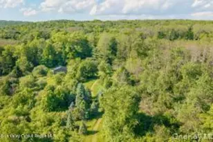 884 Camby Rd, Millbrook, NY 12545 - Photo 25
