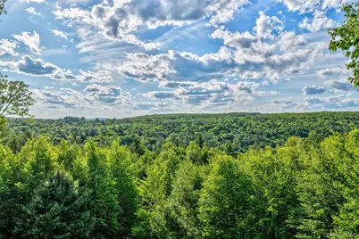 119 Lake Ridge Road, Narrowsburg, NY 12764 - Photo 35