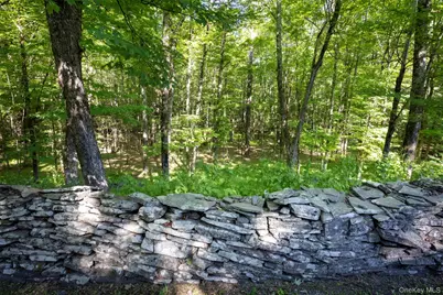 19 Blues Quarry, Woodstock, NY 12498 - Photo 29
