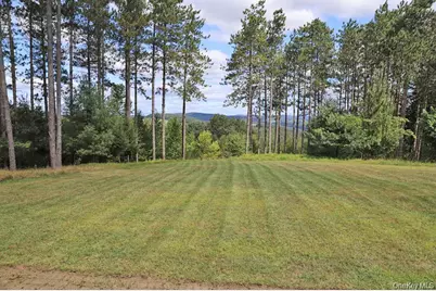 118 Froehlich Drive, Callicoon, NY 12723 - Photo 33