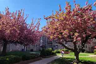 66-10 111th St, Forest Hills, NY 11375 - Photo 11