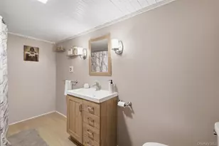 236 Hosner Mountain Rd, Hopewell Junction, NY 12533 - Photo 31