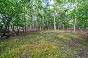 41 Paige Ln, Moriches, NY 11955 - Photo 47