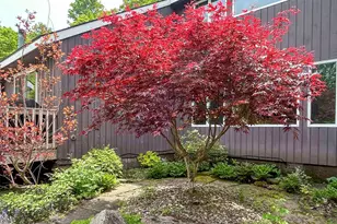 620 Mohican Trail, Glen Spey, NY 12441 - Photo 5