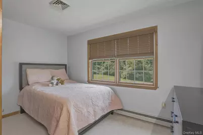 41 Saddle Ridge Drive, Hopewell Junction, NY 12533 - Photo 29