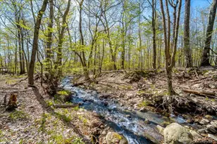 80 Jones Rd, Pine Bush, NY 12566 - Photo 7