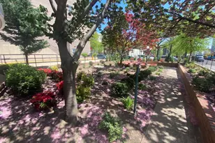 81-11 45th Ave, Elmhurst, NY 11373 - Photo 3