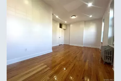 343 Bradford Street #2, Brooklyn, NY 11207 - Photo 11
