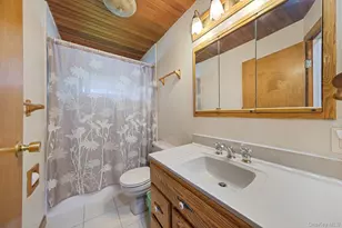 16 Lynx Ln, East Setauket, NY 11733 - Photo 13