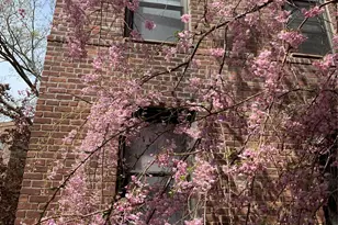150-29 72nd Rd, Flushing, NY 11367 - Photo 13