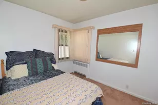 792 Bauer St, Elmont, NY 11003 - Photo 23