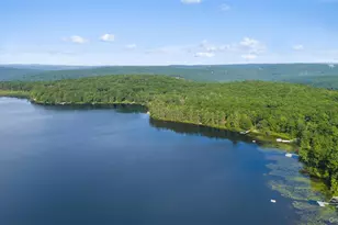 253 York Lake Estates Rd, Barryville, NY 12719 - Photo 5