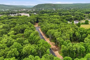 2 James Pl, Port Jervis, NY 12771 - Photo 37