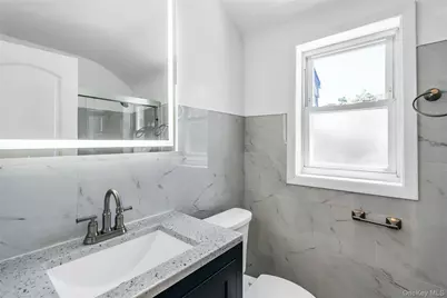 163 Emily Avenue, Elmont, NY 11003 - Photo 17