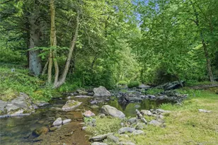 226 Cart Rd, Dover Plains, NY 12522 - Photo 37
