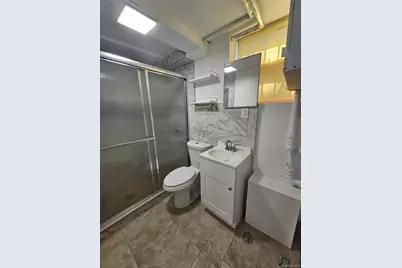 455 E 43rd Street, Brooklyn, NY 11203 - Photo 27