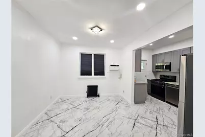 455 E 43rd Street, Brooklyn, NY 11203 - Photo 11