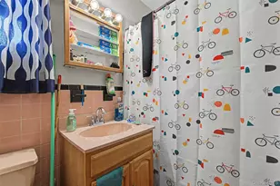 1010 E 233rd St, Bronx, NY 10466 - Photo 21
