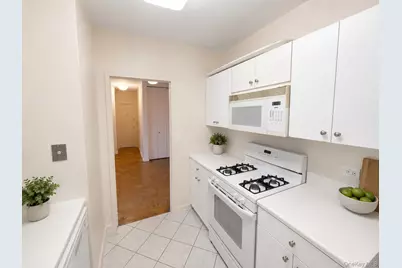 27010 Grand Central Parkway #4M, Floral Park, NY 11005 - Photo 5