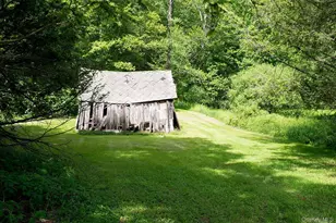 3348 State Route 52, White Sulphur Springs, NY 12787 - Photo 43
