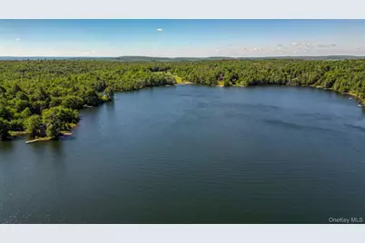 110 Park Drive, Parksville, NY 12768 - Photo 7