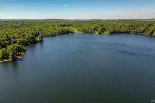 110 Park Dr, Parksville, NY 12768 - Photo 7
