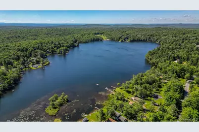 110 Park Drive, Parksville, NY 12768 - Photo 9
