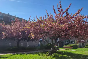 111-09 66th Rd, Forest Hills, NY 11375 - Photo 17