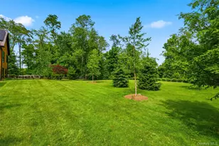 44 Woodlands Trl, Clinton Corners, NY 12514 - Photo 45