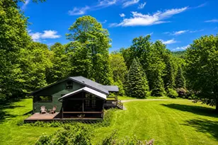 438 Gulf Rd, Roscoe, NY 12776 - Photo 5