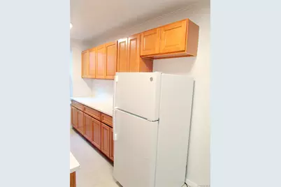 4315 Webster Avenue #1B, Bronx, NY 10704 - Photo 9