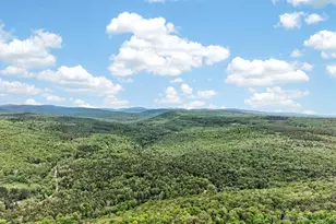 81 N Pond Dr, Livingston Manor, NY 12768 - Photo 5