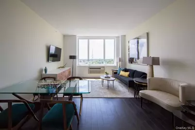 1 Third #1011, Mineola, NY 11501 - Photo 17
