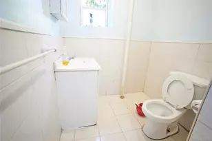 243 Crescent, Brooklyn, NY 11208 - Photo 31
