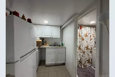 1656 Zerega Avenue, Bronx, NY 10462 - Photo 31