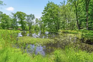 27 Van Tassel Ct, Highland Mills, NY 10930 - Photo 49
