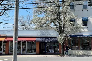 175 Woodruff Ave, Scarsdale, NY 10583 - Photo 13