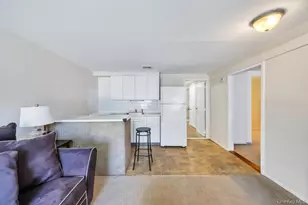 25 Laurel Pl, Bethpage, NY 11714 - Photo 33