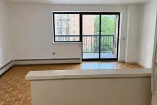 134-46 Maple Ave, Flushing, NY 11355 - Photo 9