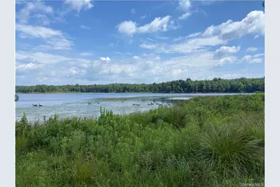 15 Bailey Lake Road #-1, Kiamesha Lake, NY 12751 - Photo 1