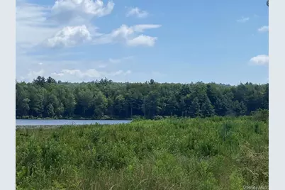 15 Bailey Lake Road #-1, Kiamesha Lake, NY 12751 - Photo 11