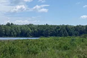15 Bailey Lake Rd, Kiamesha Lake, NY 12751 - Photo 11