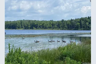 15 Bailey Lake Road #-1, Kiamesha Lake, NY 12751 - Photo 5