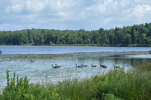 15 Bailey Lake Rd, Kiamesha Lake, NY 12751 - Photo 5