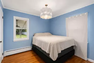 101 Spruce Ave, Bethpage, NY 11714 - Photo 17