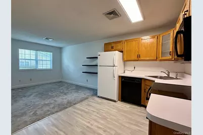 45 Tivoli Gardens #C45, Tivoli, NY 12583 - Photo 7